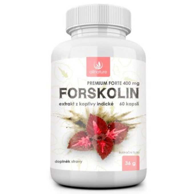 Allnature Forskolin Premium forte 400 mg 60 kapslí