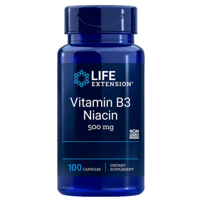 Life Extension Vitamin B3 Niacin 100 kapslí